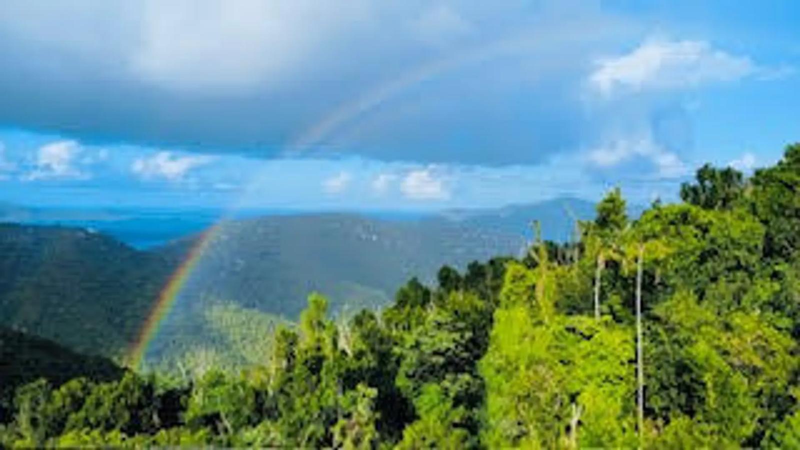 0.5 Acre Lot Homesite in Coral Bay — photo 2