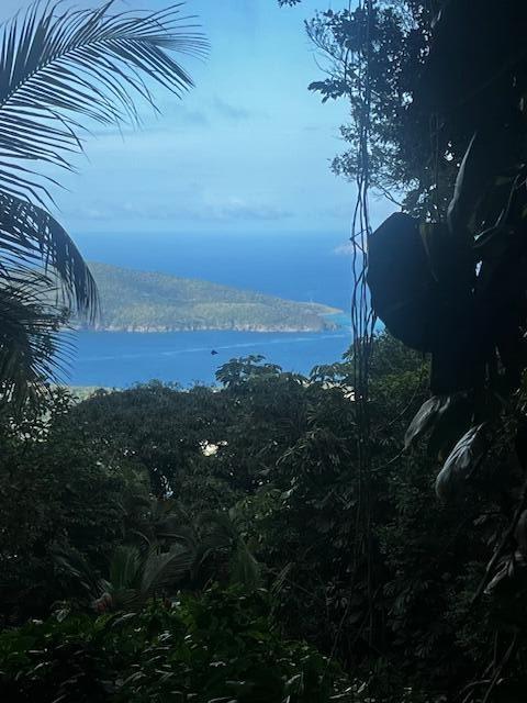 Land/Vacant Land for sale in St. Thomas, US Virgin Islands — photo 2
