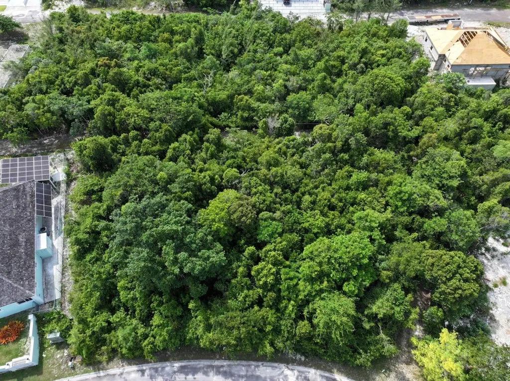 Plot for sale in Lyford Hills, New Providence — photo 1
