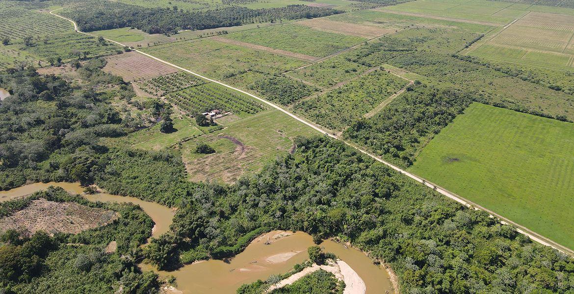 Exclusive Riverfront Jungle Retreat: 11 Acres on the North Stann Creek River — photo 5