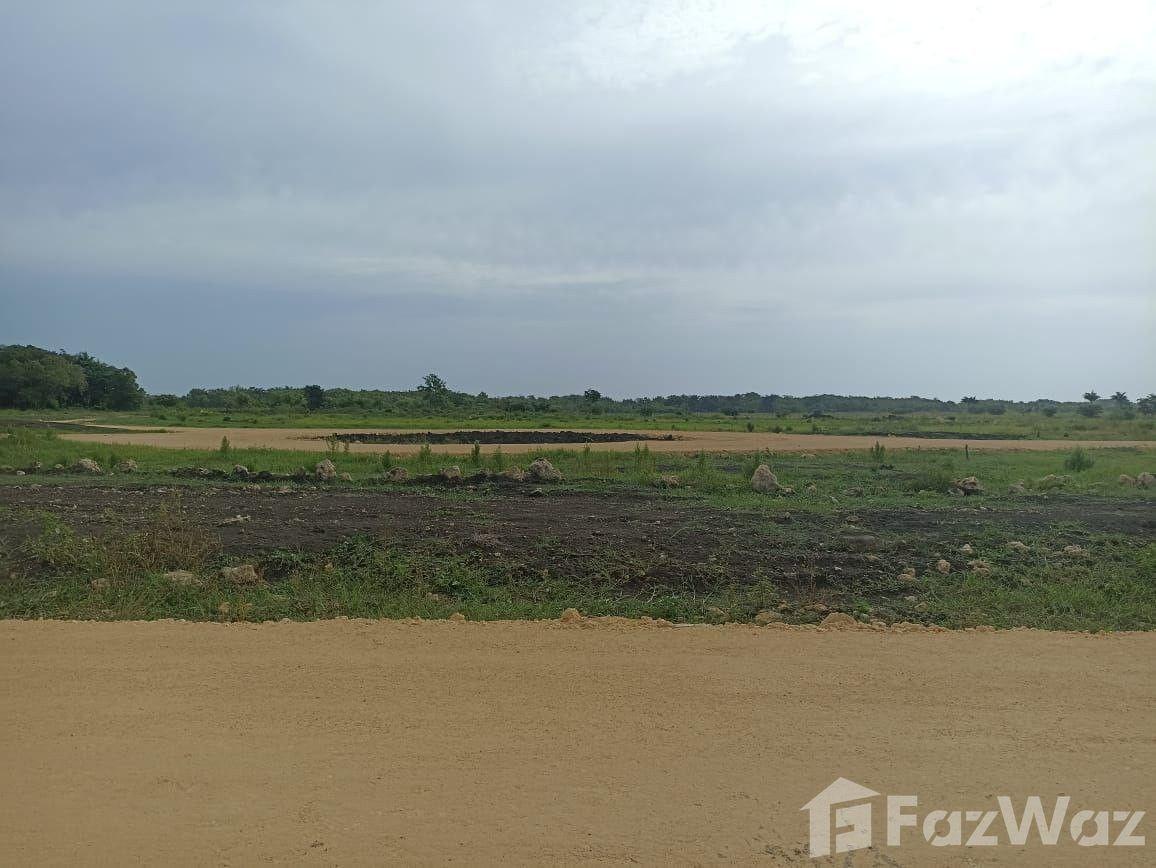 Land for sale in Plantation – Puerto Plata — photo 5