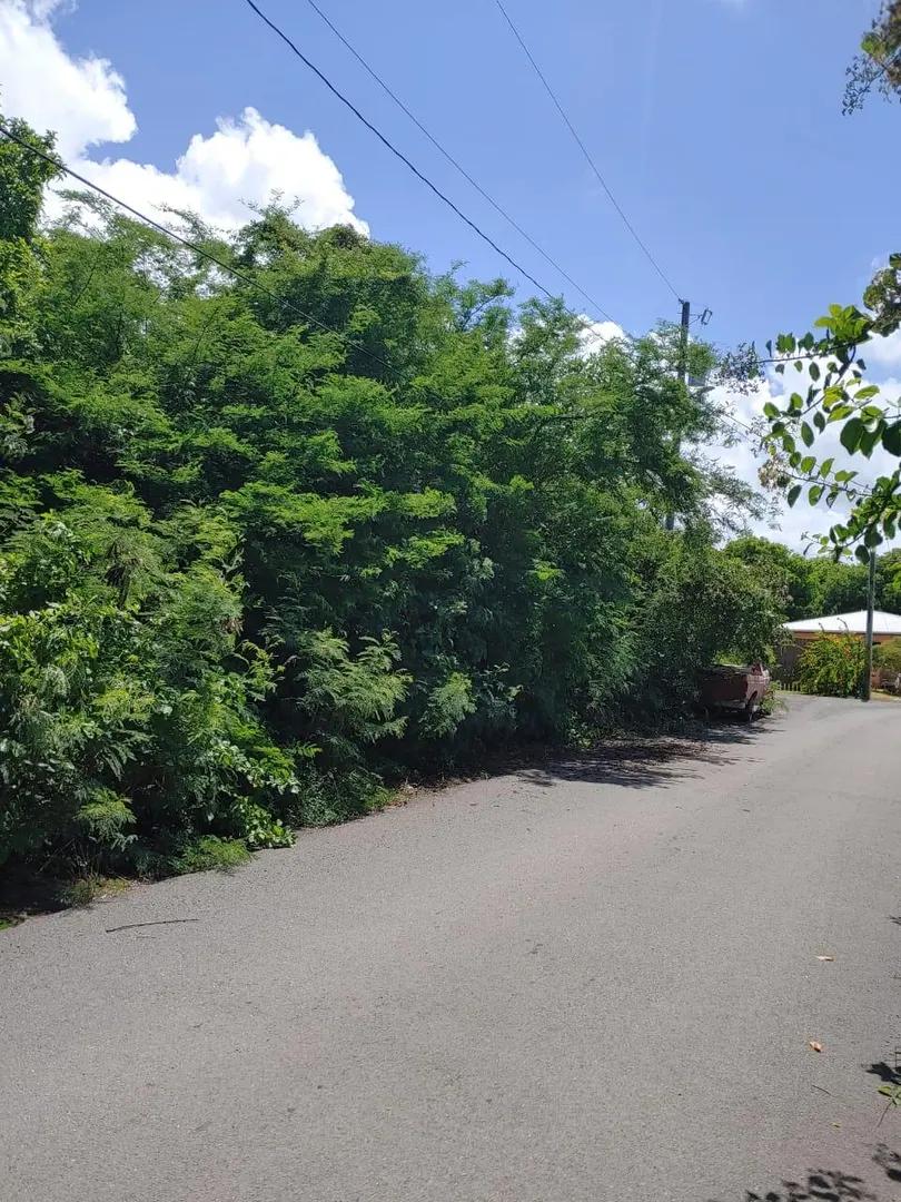 Homesite for sale in Hannah's Rest We, St. Croix — photo 3