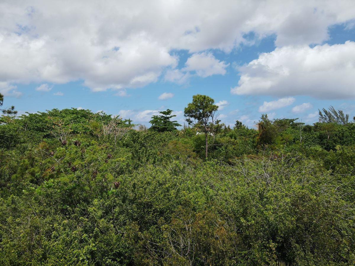 LOT 2, SAN SALVADOR — photo 1