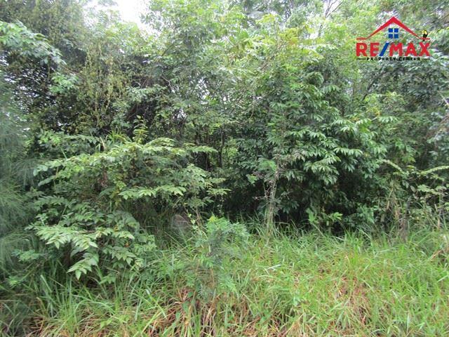 #2522 – A LARGE ONE ACRE LOT NEAR SAN IGNACIO, CAYO DISTRICT — photo 5