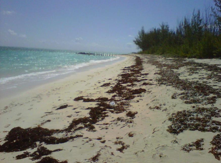 Beachfront Land North Caicos — photo 3
