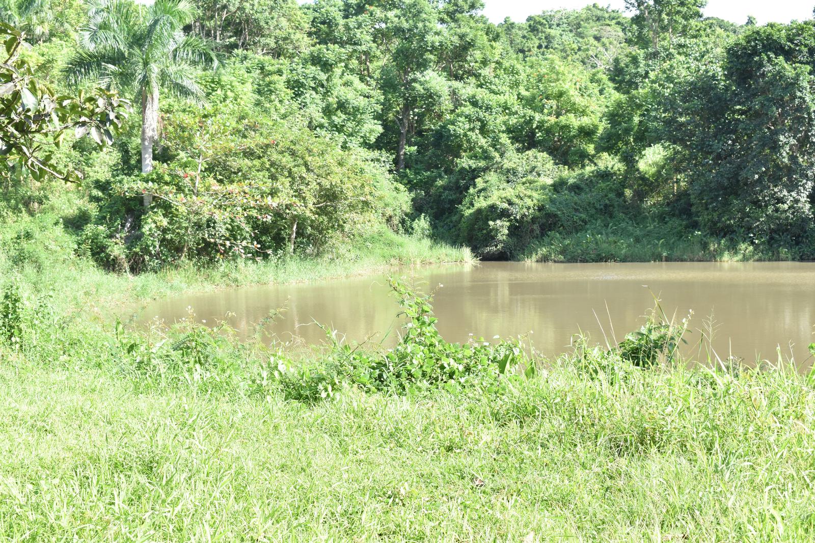 Canovanas, Cambalache Sector, 16.5 acres, near lake — photo 1