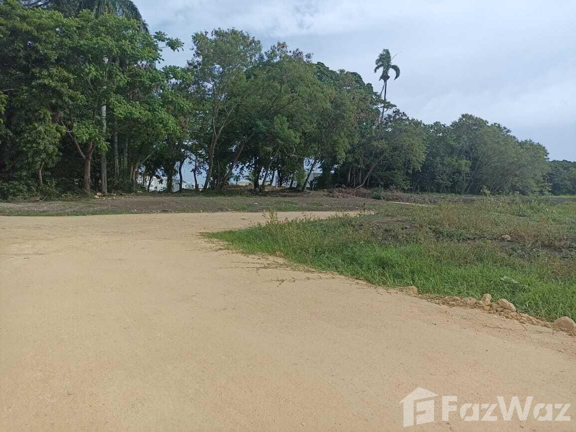 Land for sale in San Felipe De Puerto Plata, Dominican — photo 1