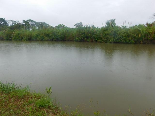 #2510 - 70 ACRES + RIVER - STANN CREEK DISTRICT, BELIZE — photo 1