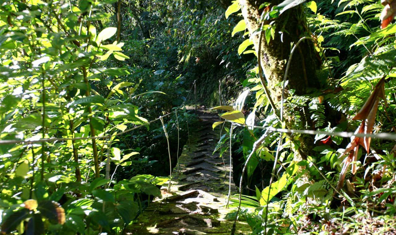 26 Hectares of Agricultural Land for Sale in Sarapiquí, Alajuela, Costa Rica — photo 4