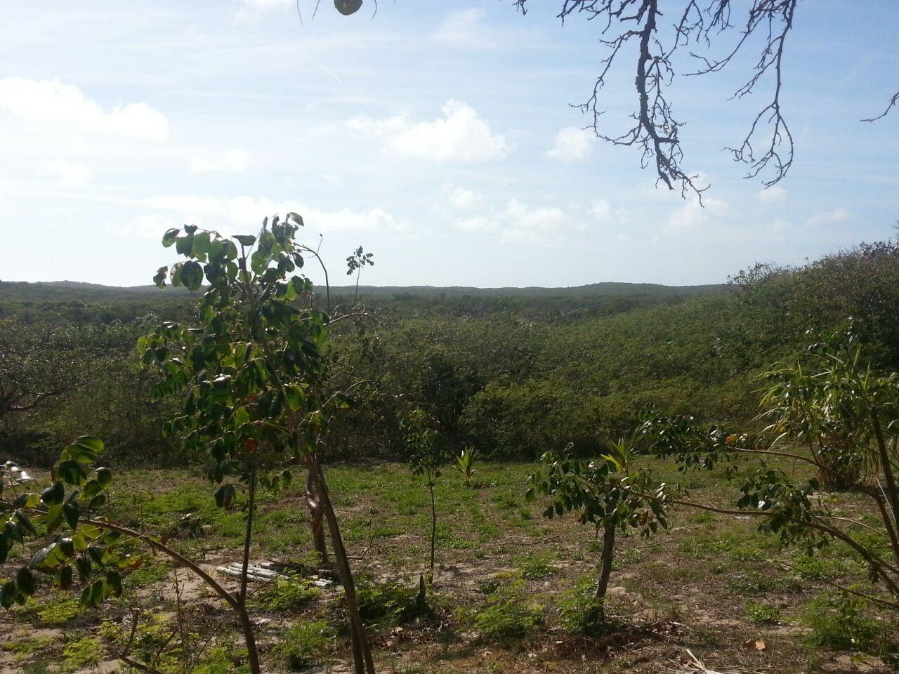 Apartment for sale at CAMPERDOWN BEACH in Cat Island, The Bahamas — photo 4