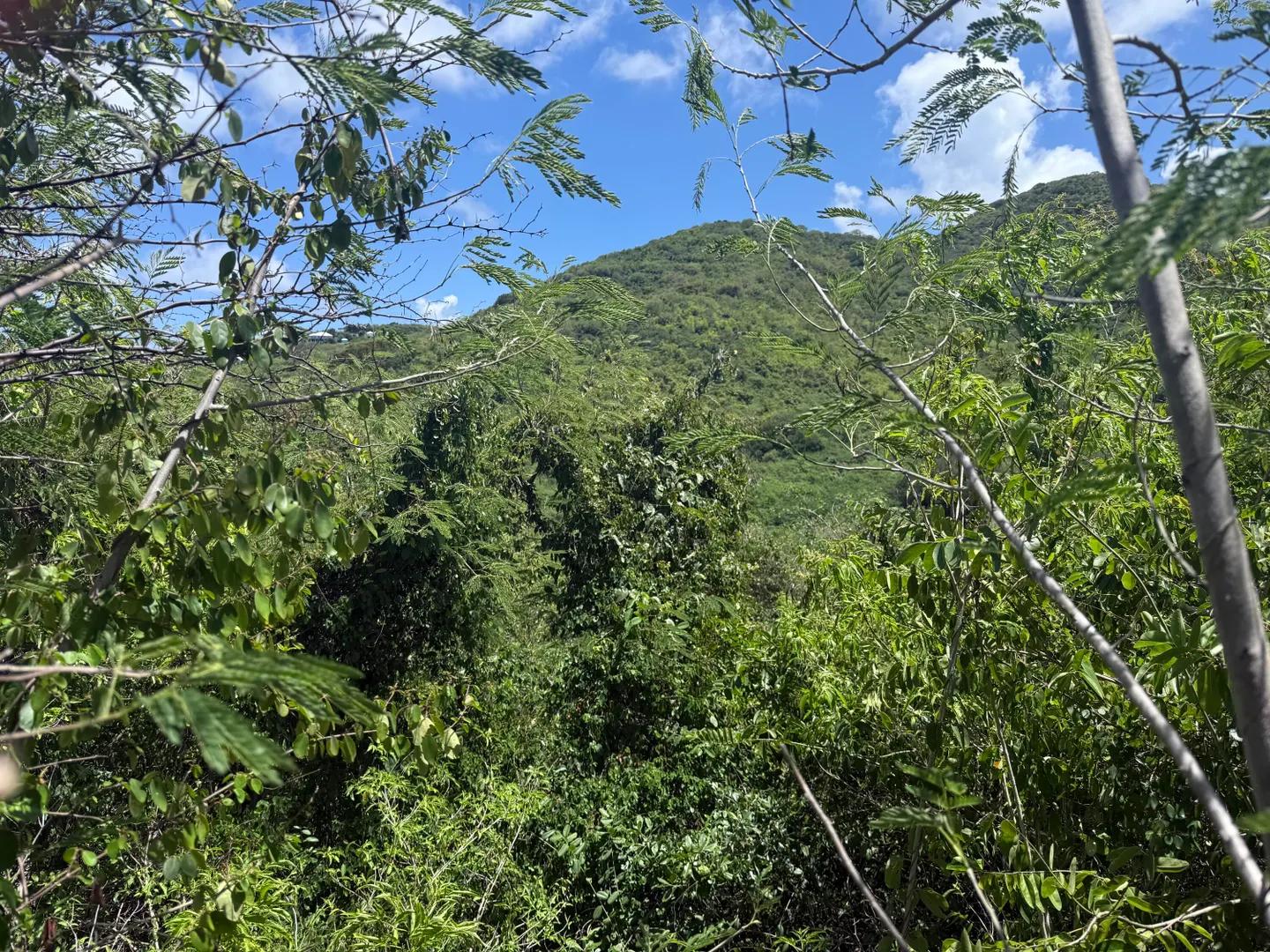 0.79 Acre Homesite in Cotton Valley, St. Croix — photo 1