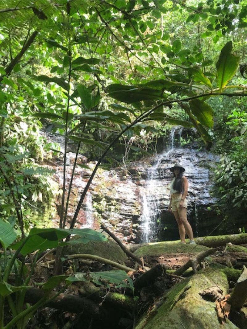 15.8 Acres of Development Land with Whale Tail Views in Uvita, Costa Rica — photo 4