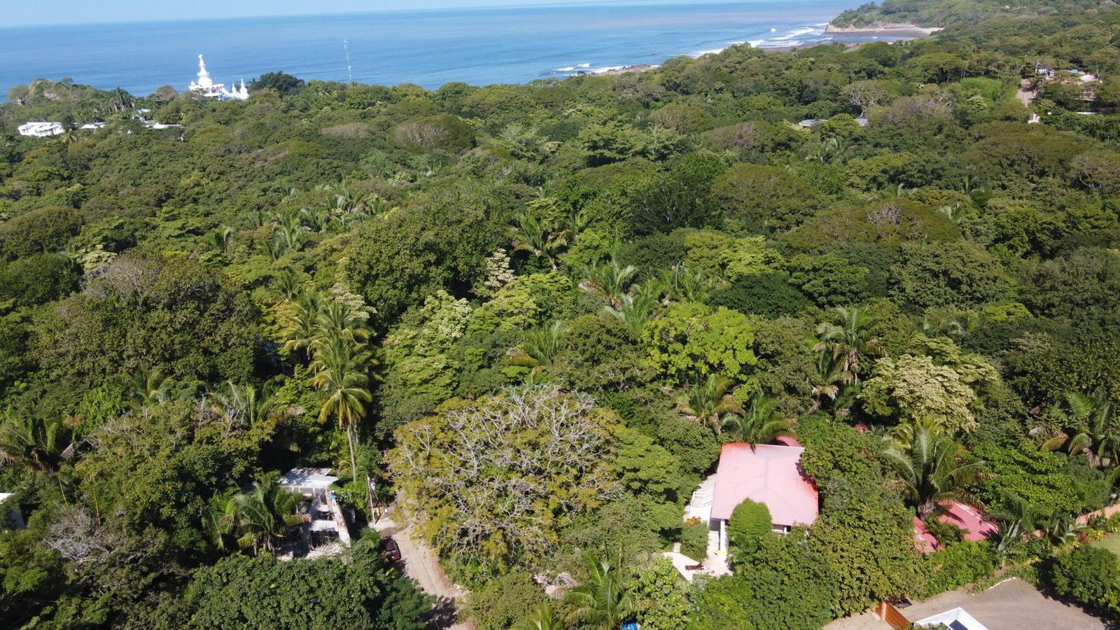 0.3 Acres of Land for Sale in Nosara — photo 3