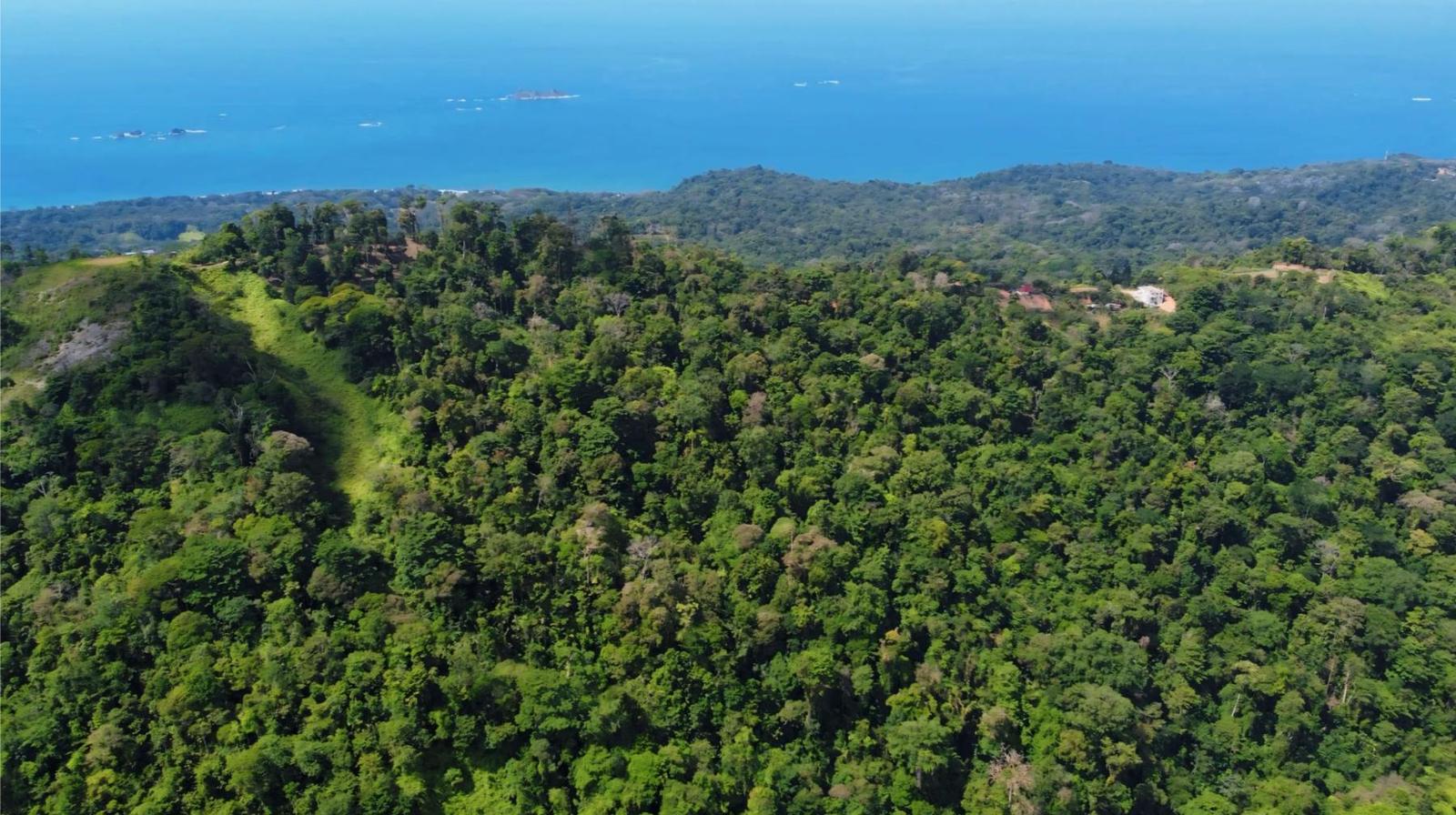 20 Acres of Prime Forest Land for Sale, Uvita, Puntarenas, Costa Rica — photo 2