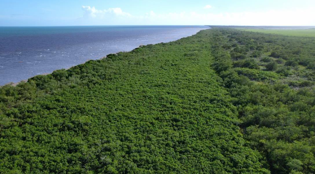 4000 Acres of Brilliant Waterfront Farmland North of Belize City — photo 2