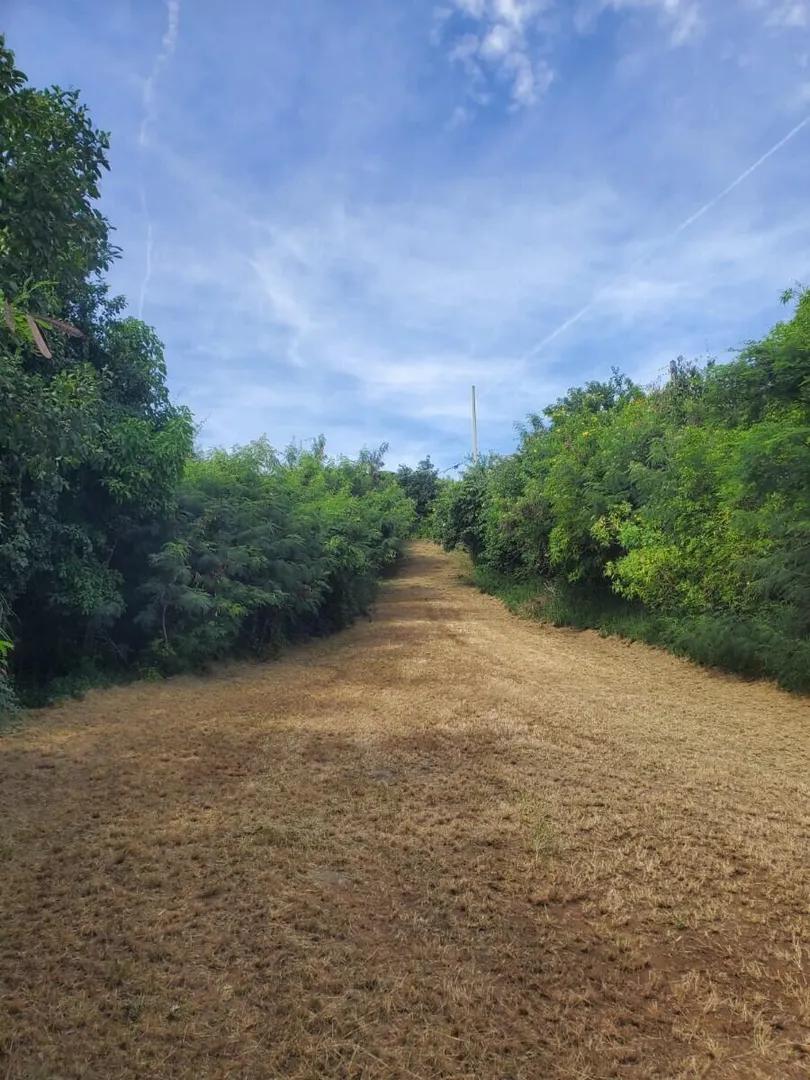 5.23 Acre Lot - Salt River, St. Croix — photo 3