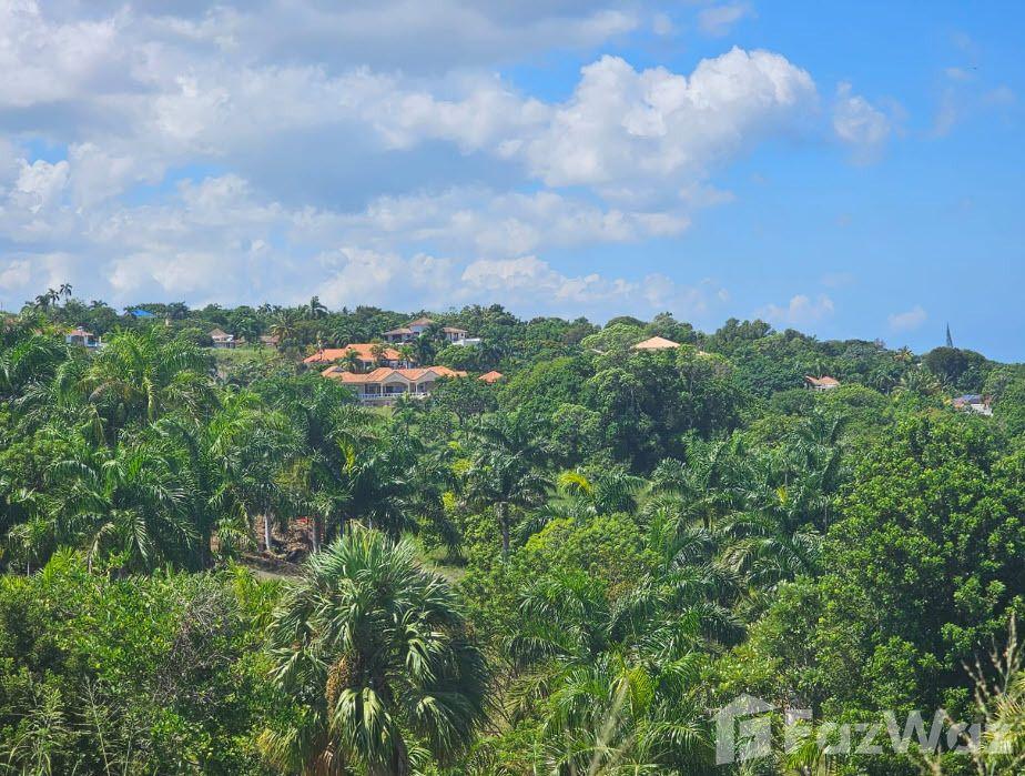 PANORAMA VILLAGE Amazing Ocean View LOT in Sosua, Puerto Plata, Dominican Republic — photo 3