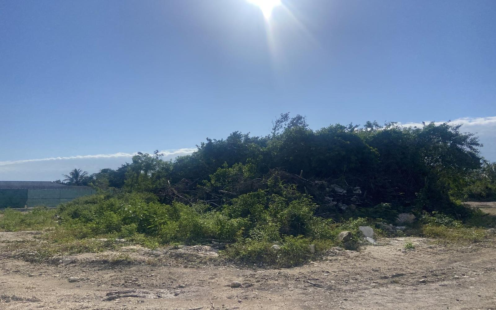 Multi-family Lot Off Carmichael Road - MLS 56678 — photo 4