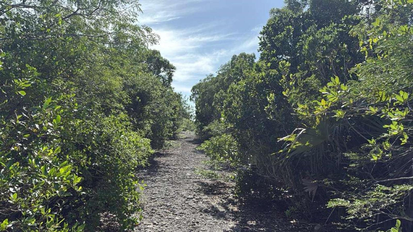 LOT 1403 OLD AIRPORT ROAD — photo 3