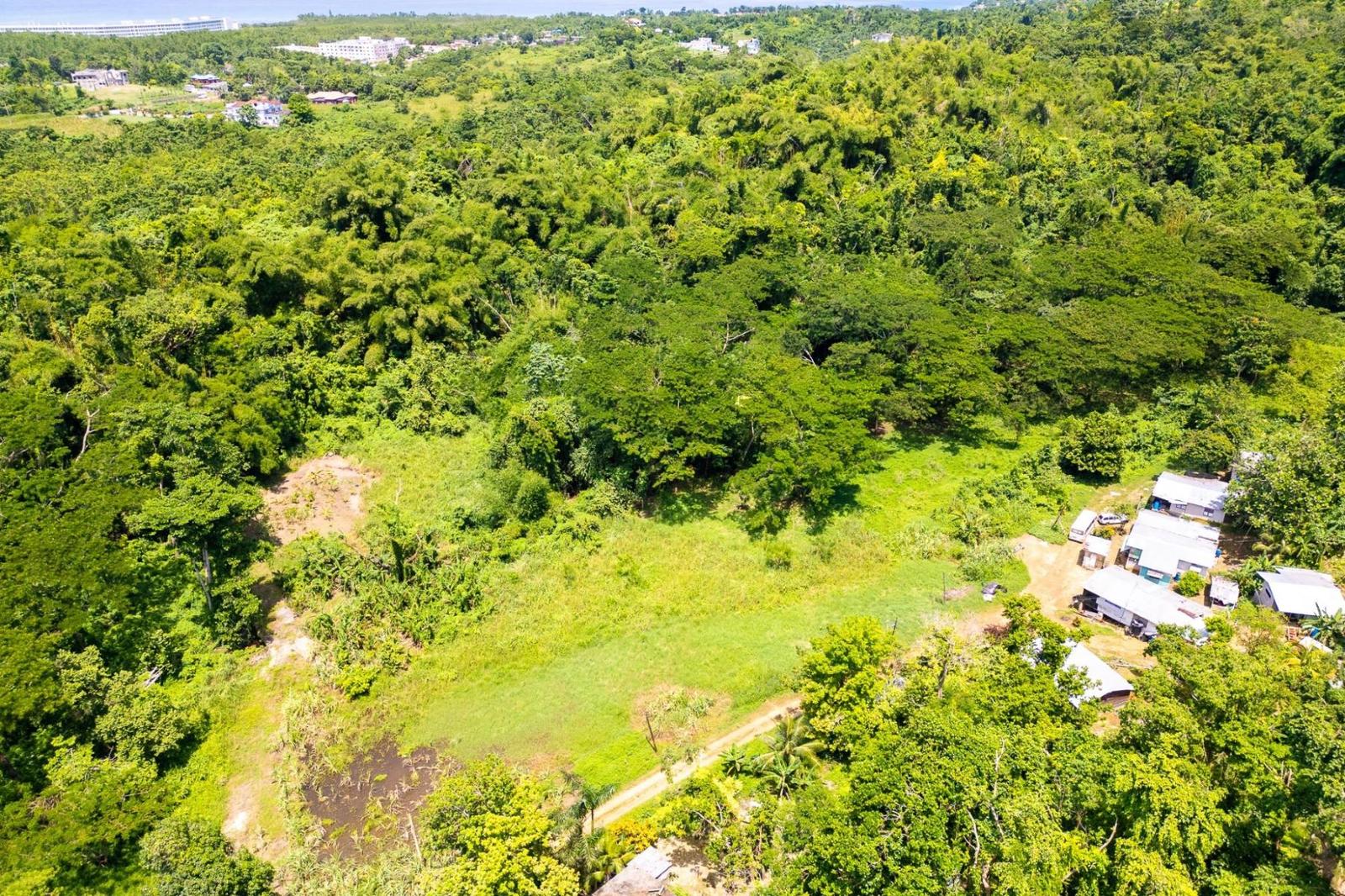 6.7 Acres of Residential Development Land for Sale in Rothsey Cove, Green Island, Hanover, Jamaica — photo 3
