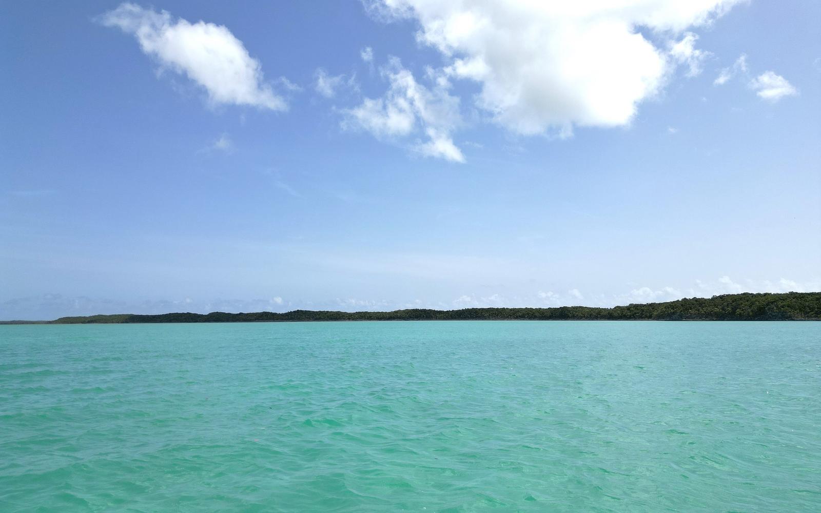 10 Acres Of Secluded Land, The Bluff — photo 4