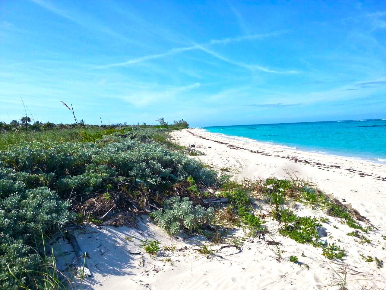 Apartment for sale at CAMPERDOWN BEACH in Cat Island, The Bahamas — photo 1