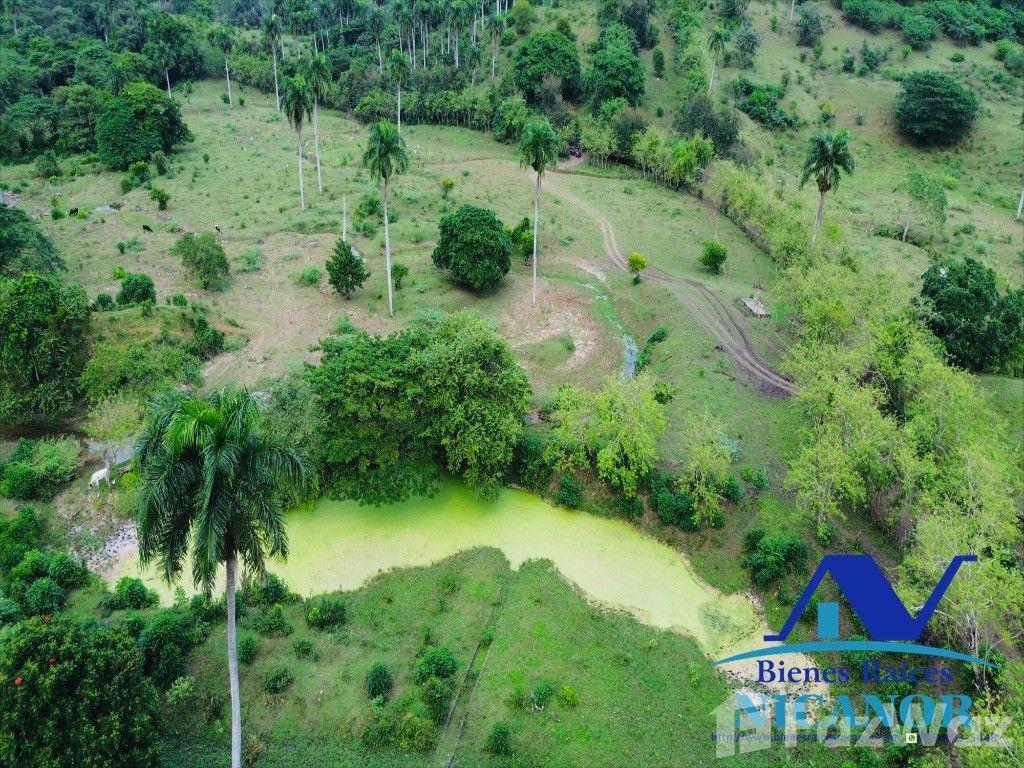 2,300 acre farm for sale — photo 5