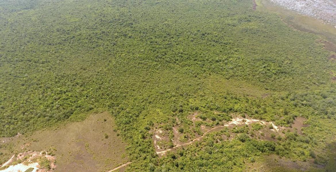 1,456 acre property near Hattieville — photo 3