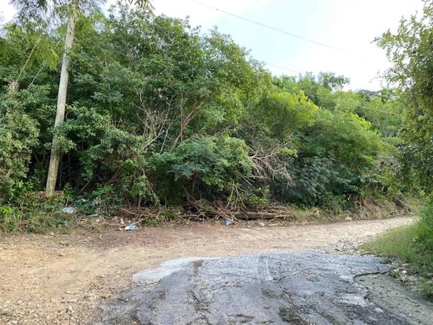 Work & Rest Co Lot — photo 4