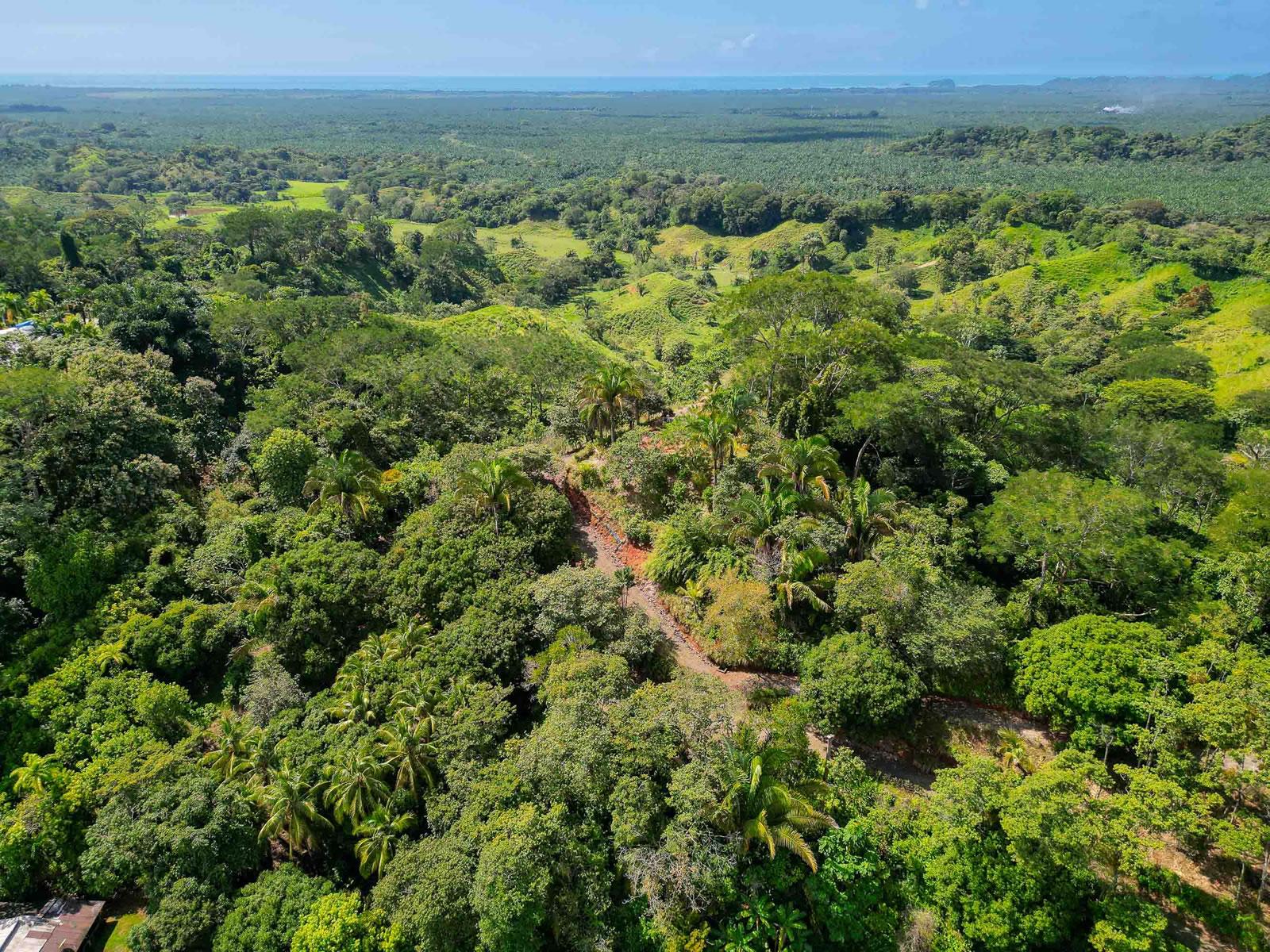 44,000 Sq M of Land for Sale, Londres / Quepos, Puntarenas, Costa Rica — photo 1