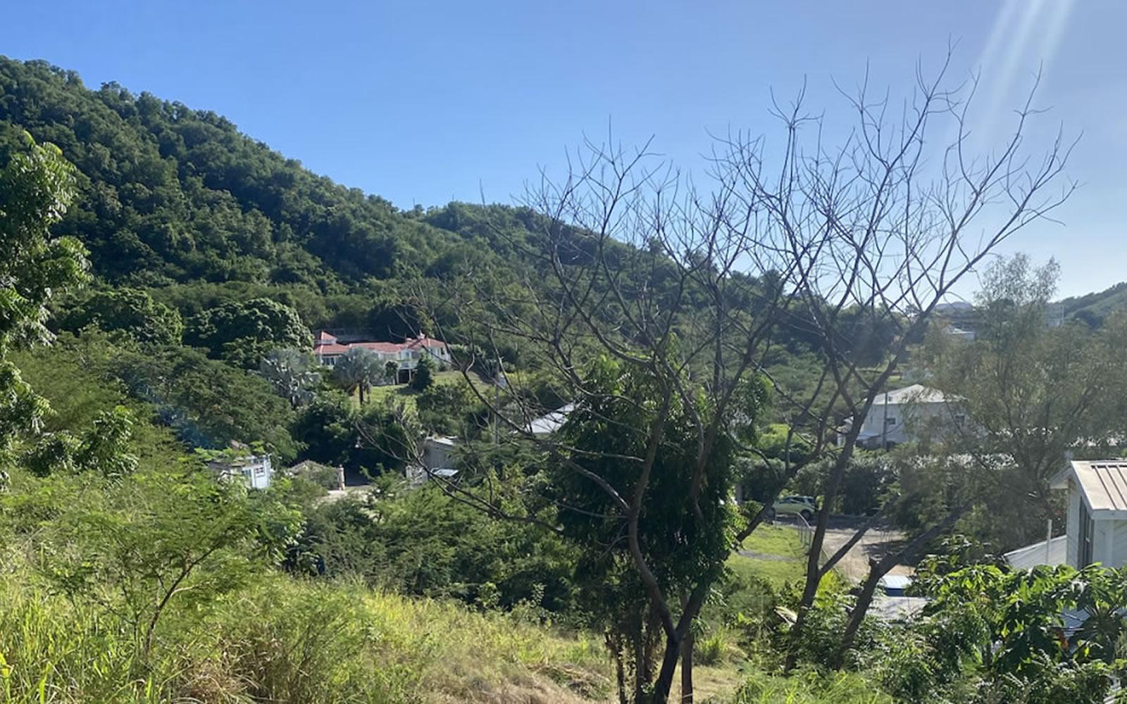 1.25 Acres of Land for Sale, Valley Church, St Marys, Antigua — photo 4