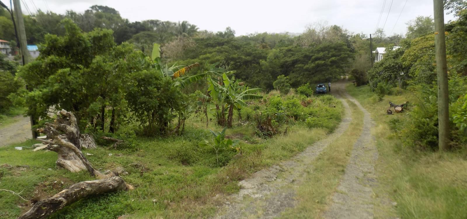 0.32 Acres of Land for Sale, Marisule, St Lucia — photo 2
