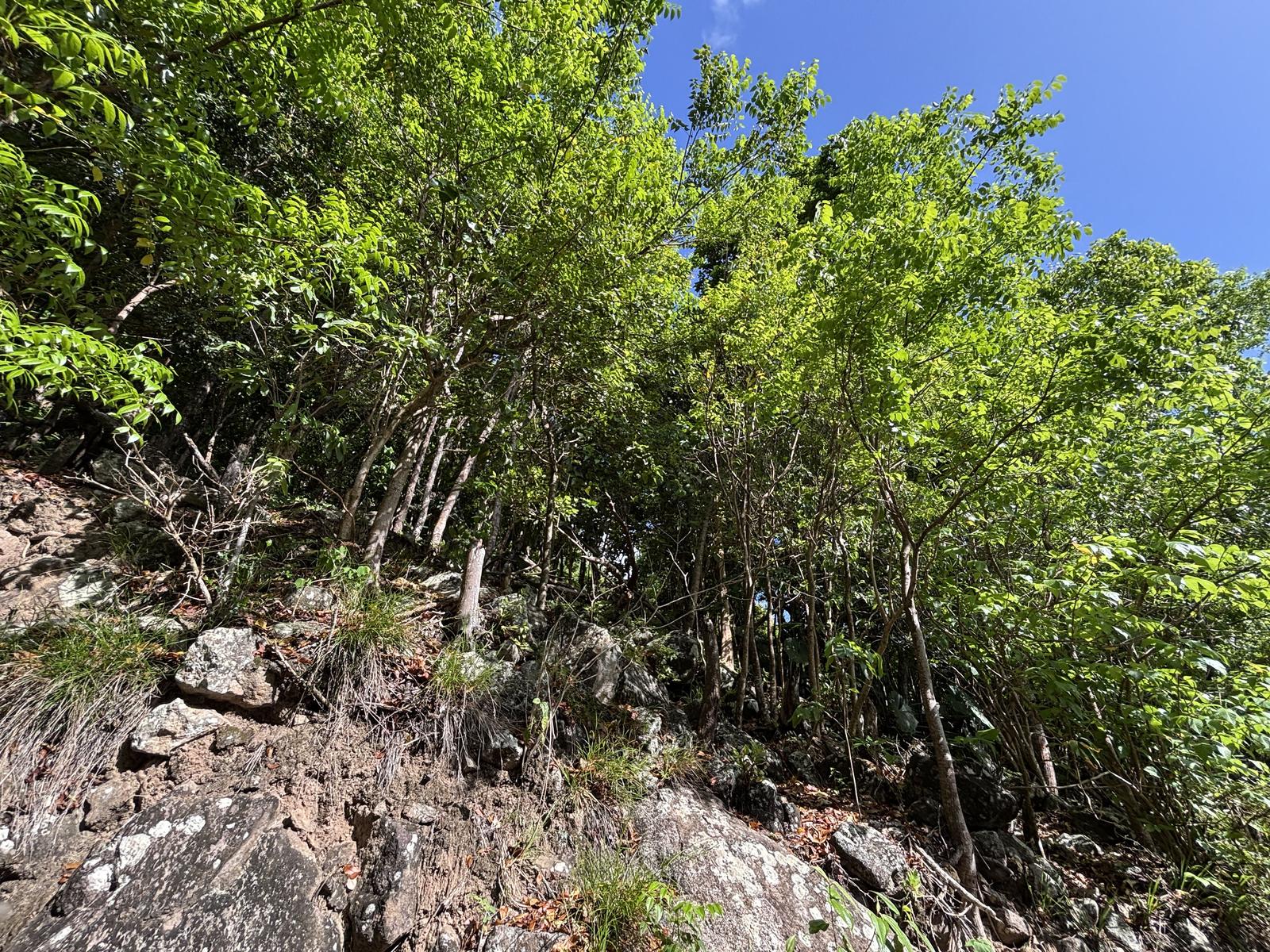Middle Island Property — photo 3