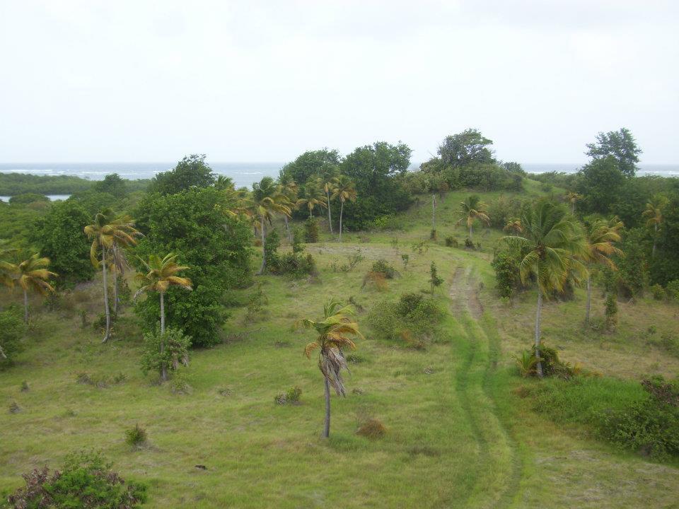7 Acres Beachfront Land for Sale in Savannes Bay, St Lucia — photo 3