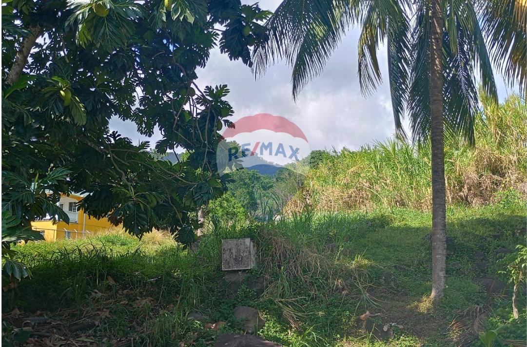 Residential Lot For Sale in Layou, St. Vincent — photo 2