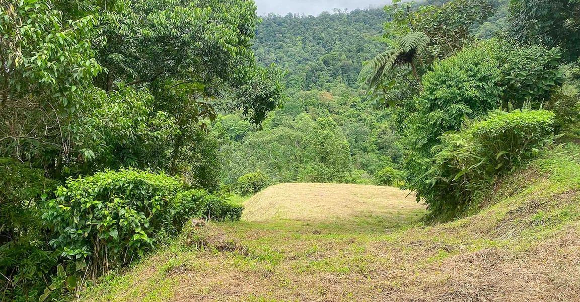 9 Acres of Ocean-View Land for Sale, San Buenas, Ojochal, Puntarenas, Costa Rica — photo 2