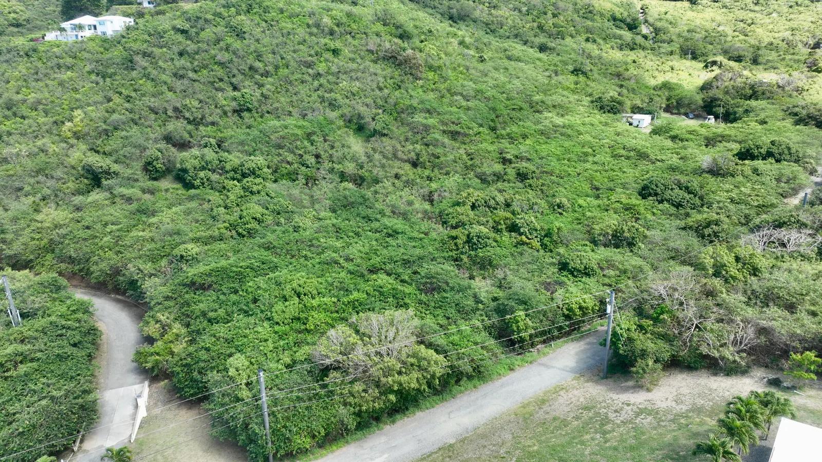 Rem 11 Solitude Eb — photo 3