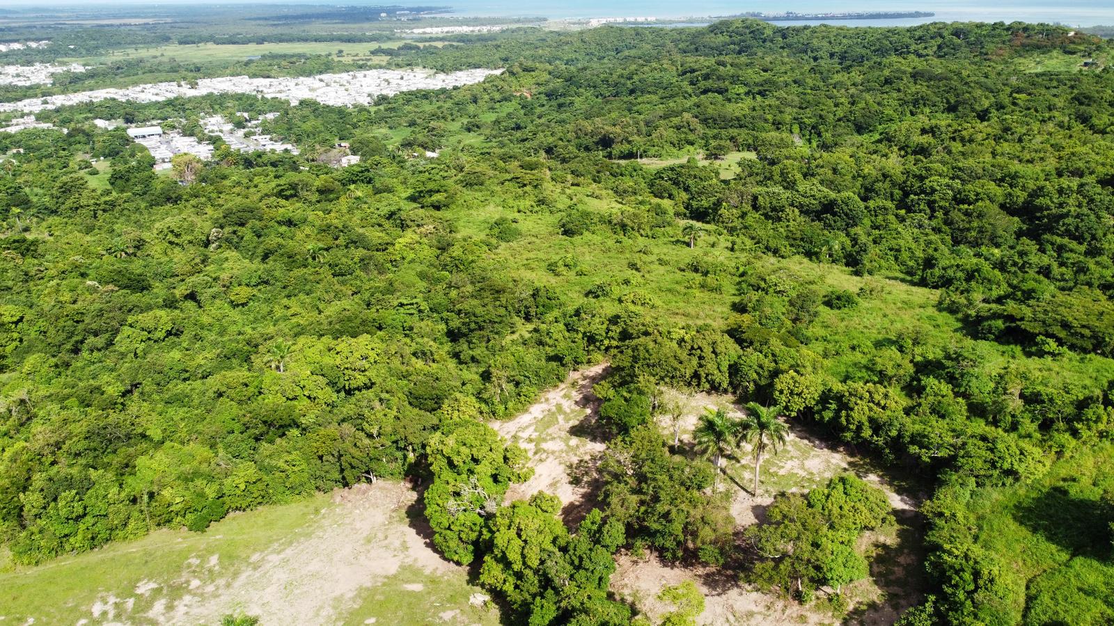 Unique land for sale with Ocean View — photo 5