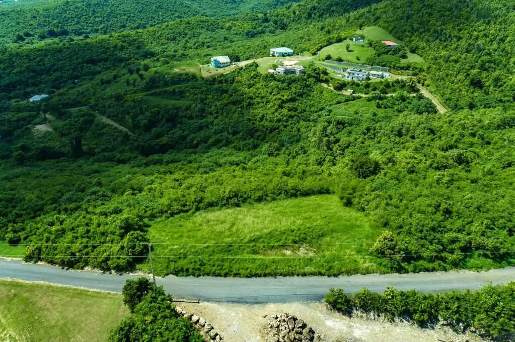 Residential Land for Sale - 37 Hope Pr, St. Croix, VI — photo 3