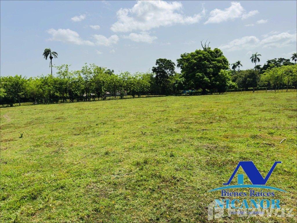 825 acre farm for sale in San Felipe De Puerto Plata, Dominican Republic — photo 1