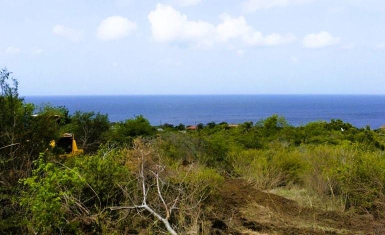 SINT EUSTATIUS - A Slice of Statia for Sale in Union Estate off White Wall Road — photo 2
