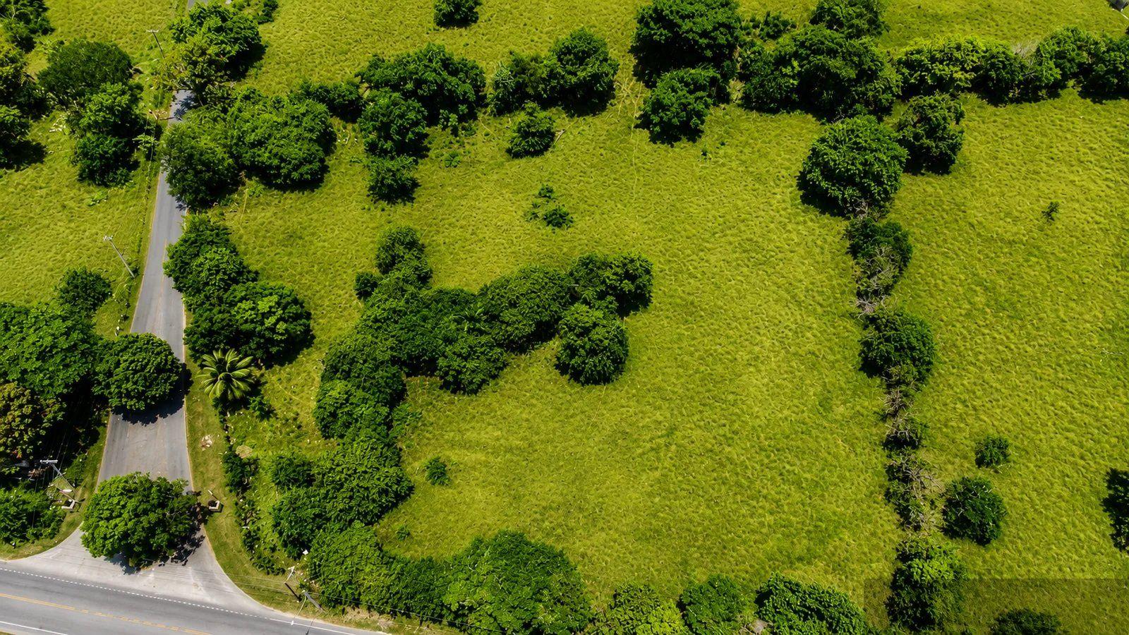 Exclusive Development Lot for sale in Lomas Mironas, Cabarete with Financing — photo 5
