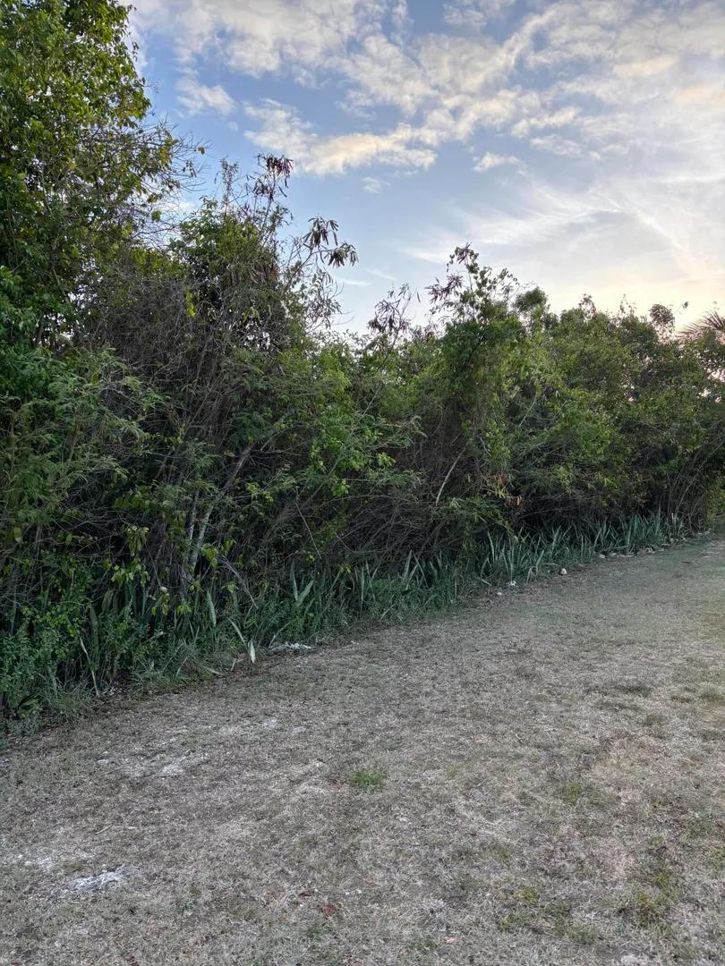 Homesite at 91 Mary's Fancy Qu — photo 5