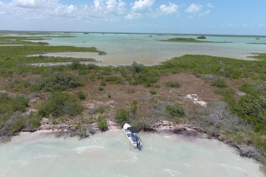 1.44 Acres Beach/Lagoon Frontage in Sarteneja, Belize — photo 3
