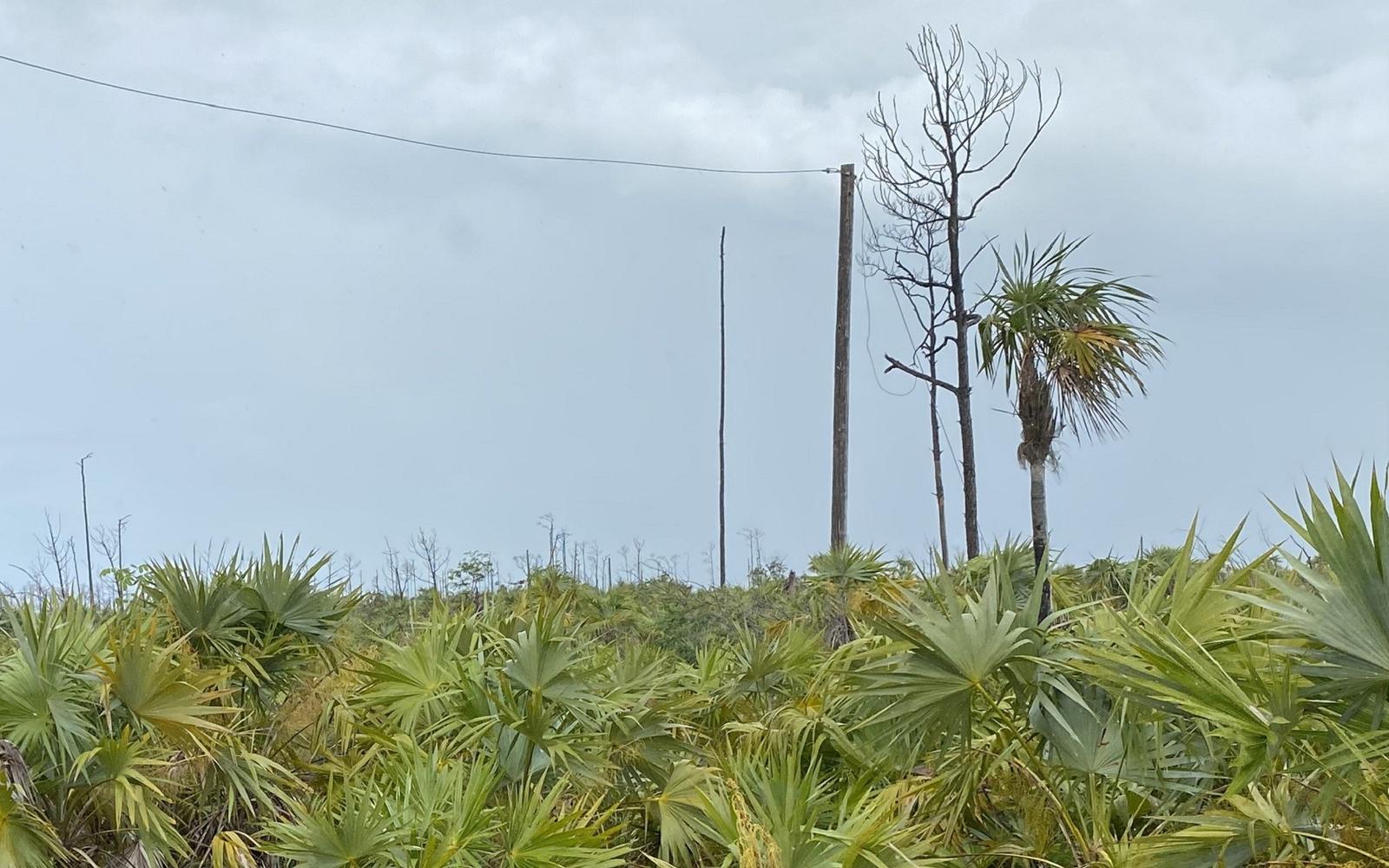 Vacant Land for Sale in Lucaya Estates, Bahamas — photo 4