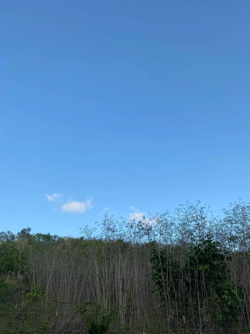 0.5 Acre Lot in St. Croix — photo 4