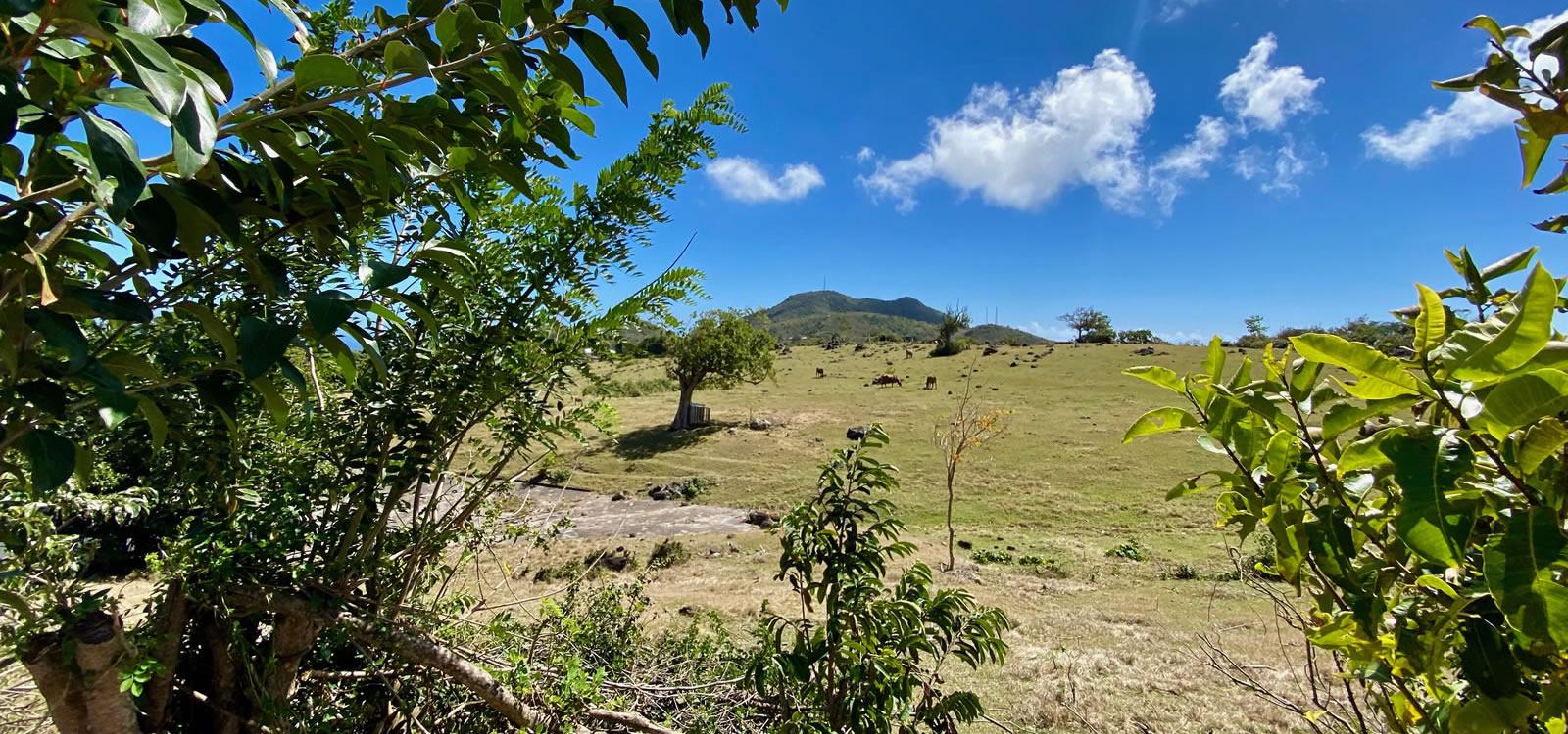 11 Acres of Land for Sale, Gingerland, Nevis — photo 1