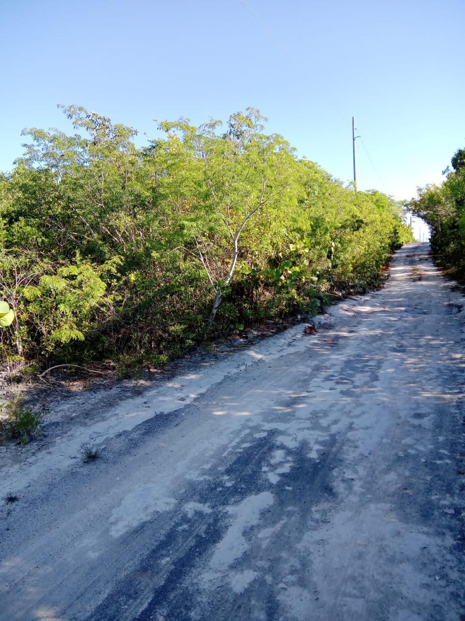 BAHAMA ISLAND BEACH #2 — photo 4