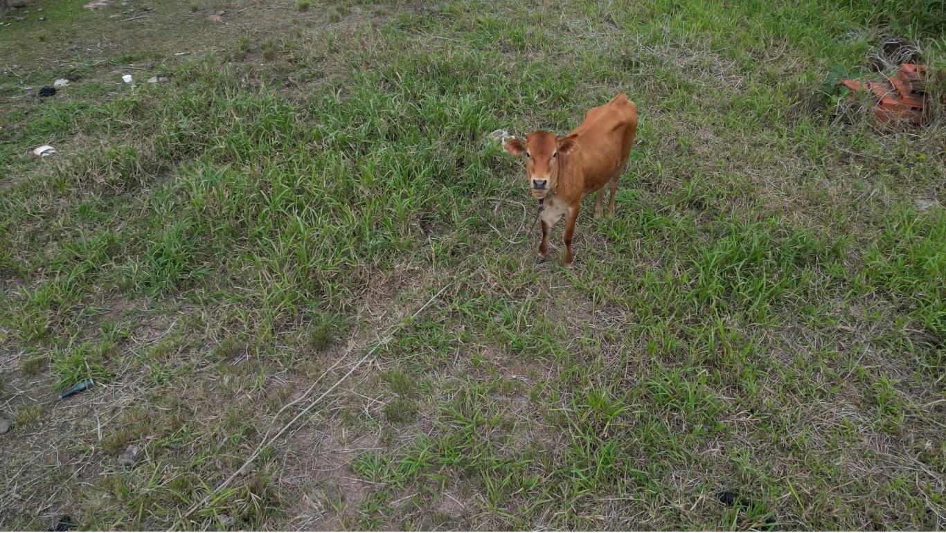 Land for Sale in Point Fortin 499K Or Best Offer — photo 3