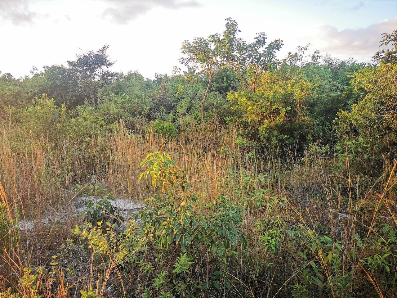 9 Acres of Commercial Land for Sale, Carmichael Road, New Providence, Bahamas — photo 1